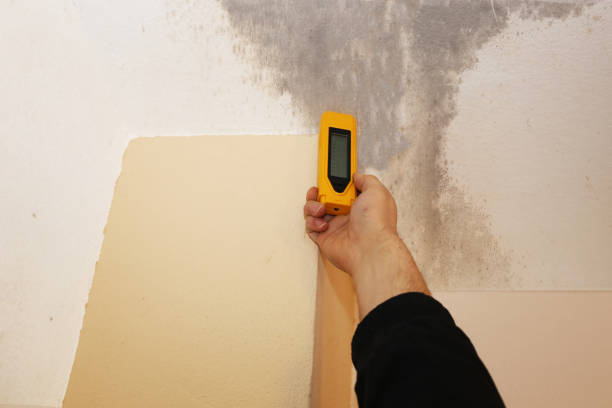 Dehumidification Services in Boca Raton, FL