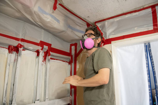 Biohazard Mold Removal in Boca Raton, FL