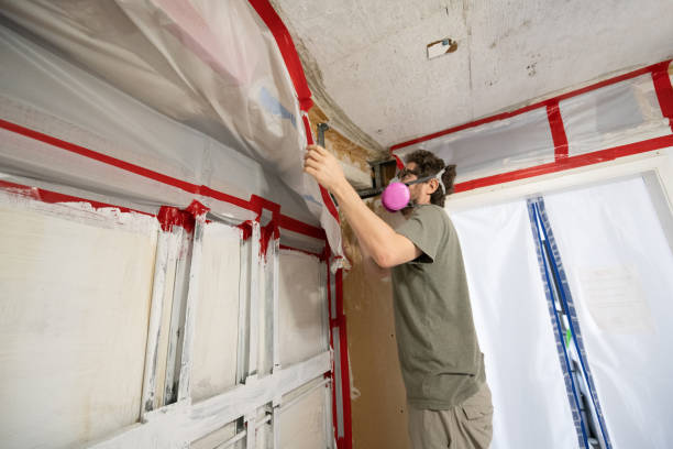 Best Comprehensive Air Testing for Mold Contaminants  in Boca Raton, FL