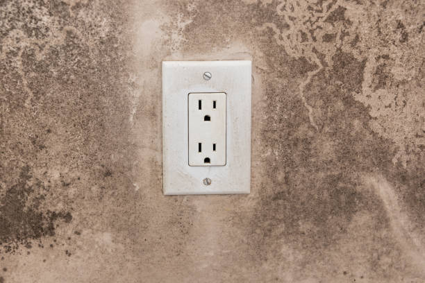 Best Dehumidification Services  in Boca Raton, FL